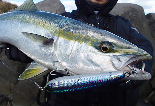 Yo-Zuri Mag Dive Floating Stickbaits