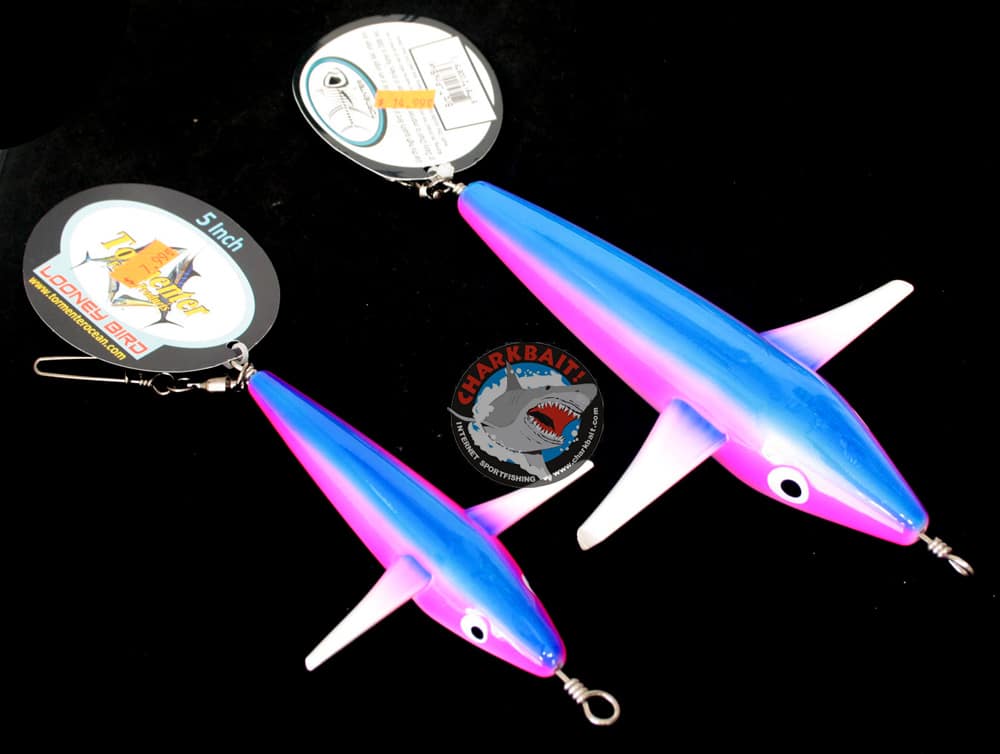 Tormenter Looney Birds