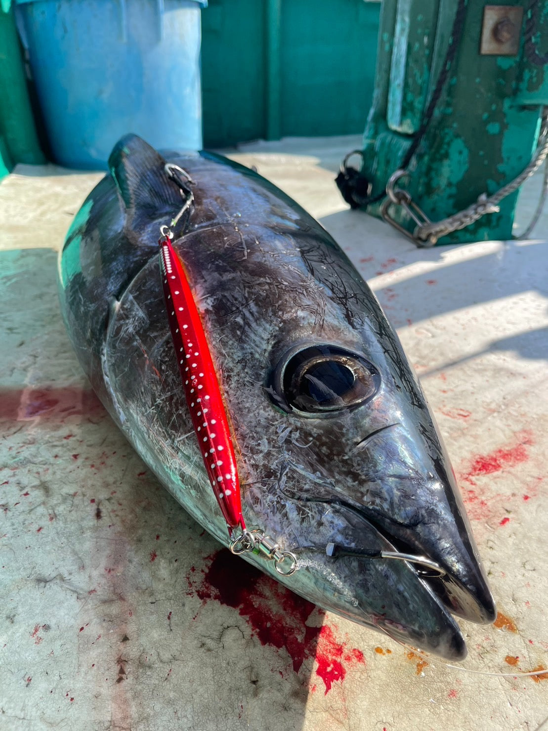 Valley Hill Blue Lancer Tuna Jigs