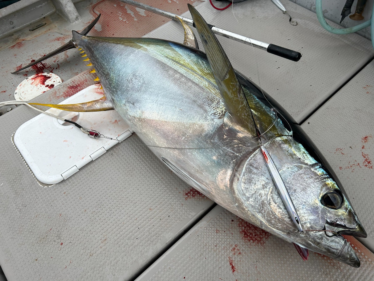 Valley Hill Blue Lancer Tuna Jigs