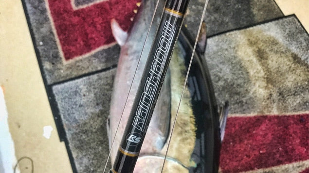 Rainshadow Judge Live Bait Rod Blanks
