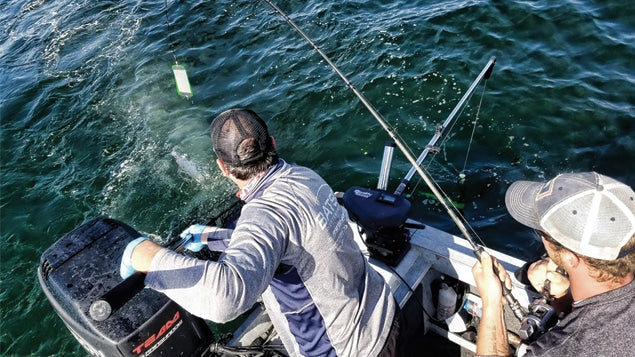 Rainshadow RX7 Jig & Pier Multipurpose Rod Blanks