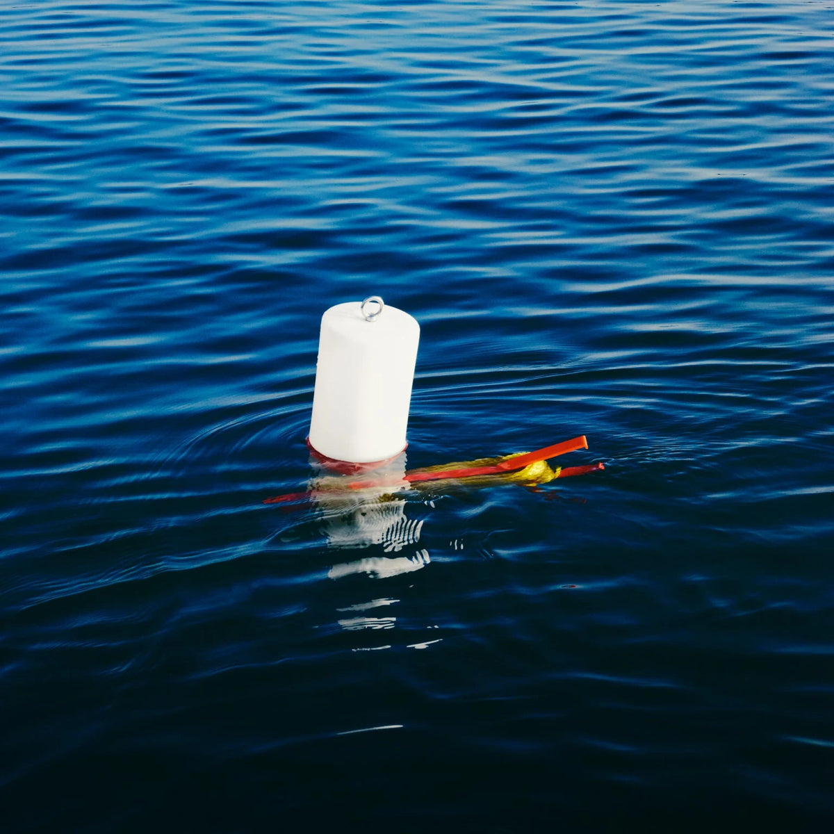 Glow Buoy float on the water in daylight