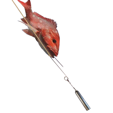 Hi-Liner Fish Saver Descending Device