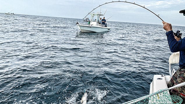 Rainshadow Revelation Slow Jigging Rod Blanks