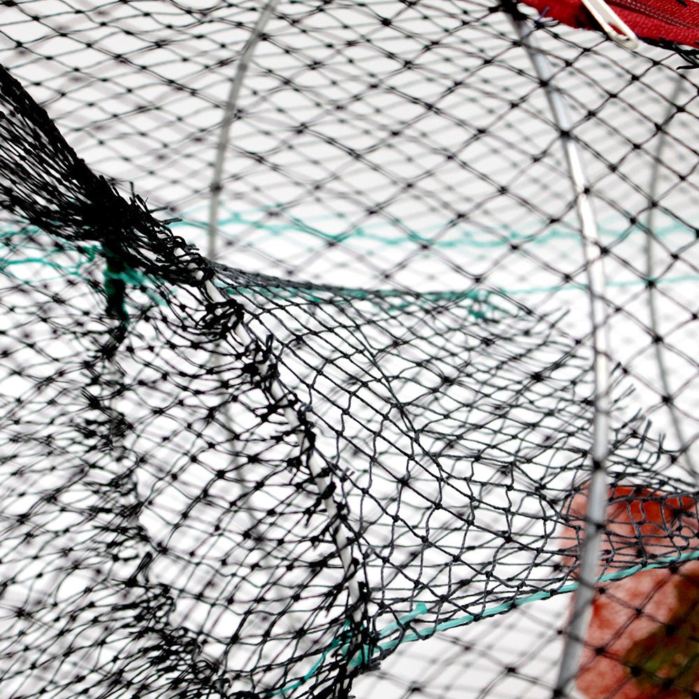 Promar Collapsible Live Bait Traps