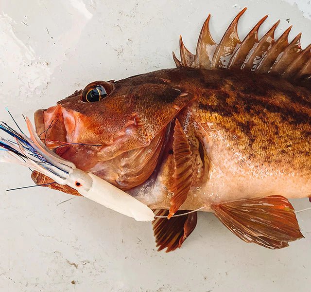 Ahi USA 7" Rock Cod Squid Rigs