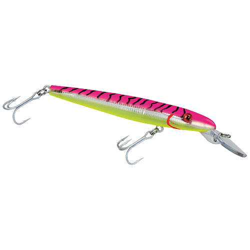 Locations: Best Lures For Fishing In Aruba & Caribbean Islands