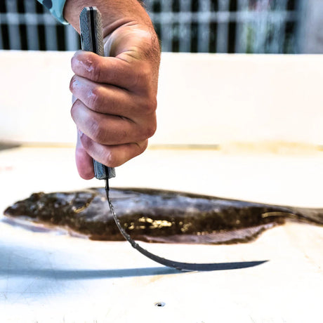 SORD 8" Super Flex Fillet Knife