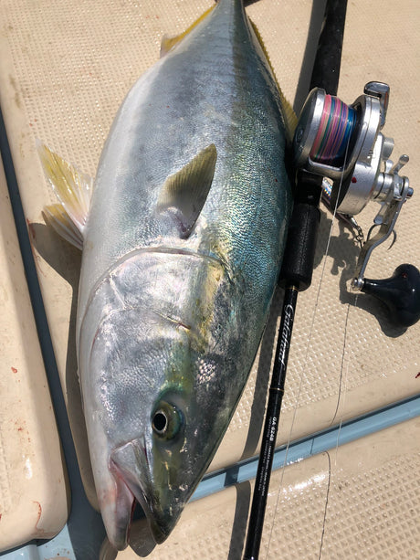 Yamaga Blanks Galahad Jigging Rods