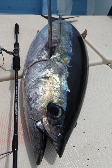 Yamaga Blanks SeaWalk Cast Jigging Swim & Skip Rods