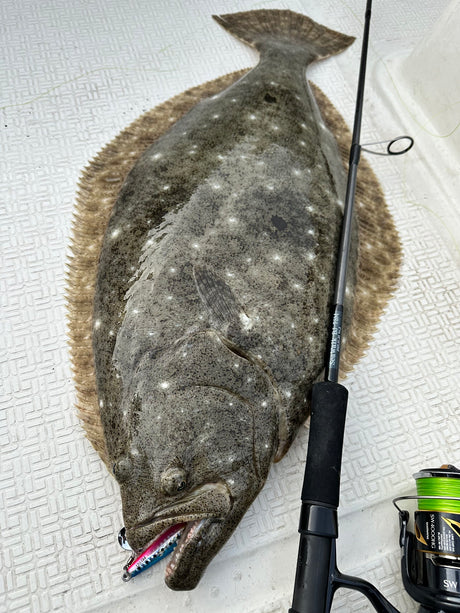 Yamaga Blanks SeaWalk Cast Jigging Swim & Skip Rods