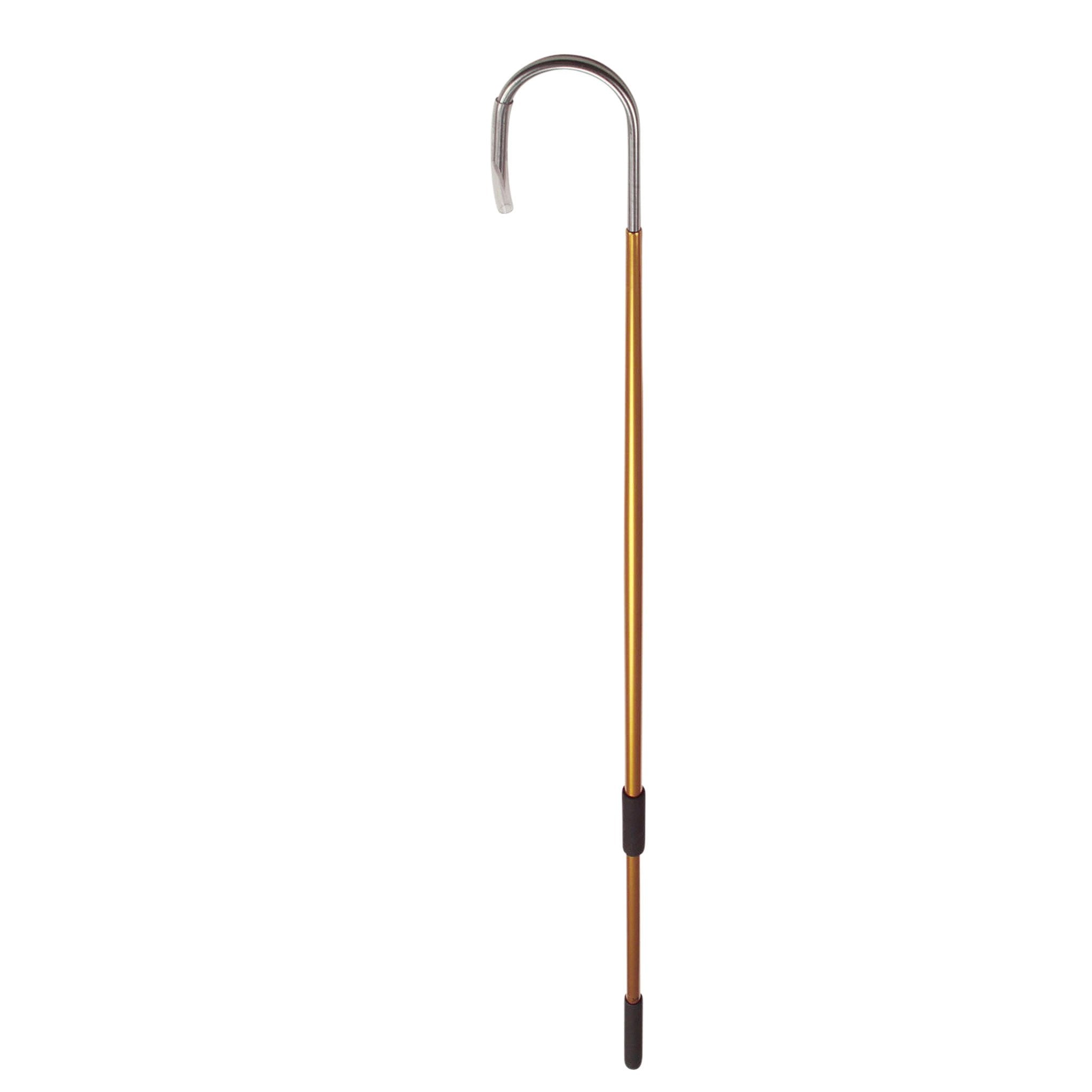 その他 Gold-Baited Hook CF fab AGAFF-5_bfaab162-44be-4a6d-