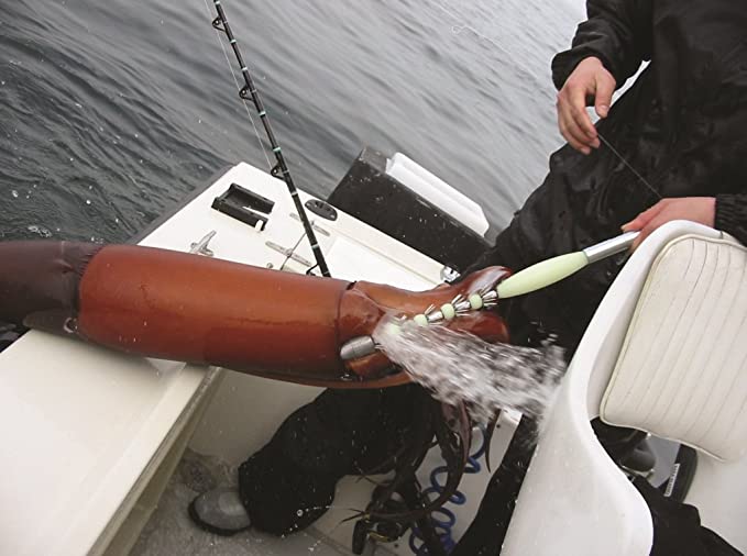 Squid Fishing Lures, 4pcs Lifelike Skin Fishing Bait 23cm Length for  Freshwater, Lures -  Canada