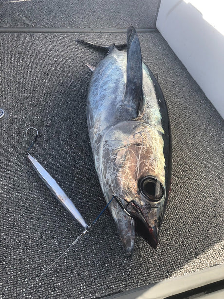 Valley Hill Blue Lancer Tuna Jigs