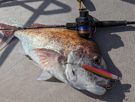 Okuma Tesoro LDJ Lever Drag Jigging Reels