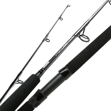 Conventiuonal Rod Conventional Fishing Rods | Saltwater Rod Picks