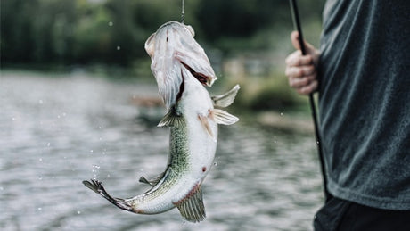 Rainshadow RX6 Mag Bass Rod Blanks