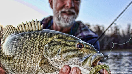 Rainshadow Revelation Freshwater Spinning Rod Blanks