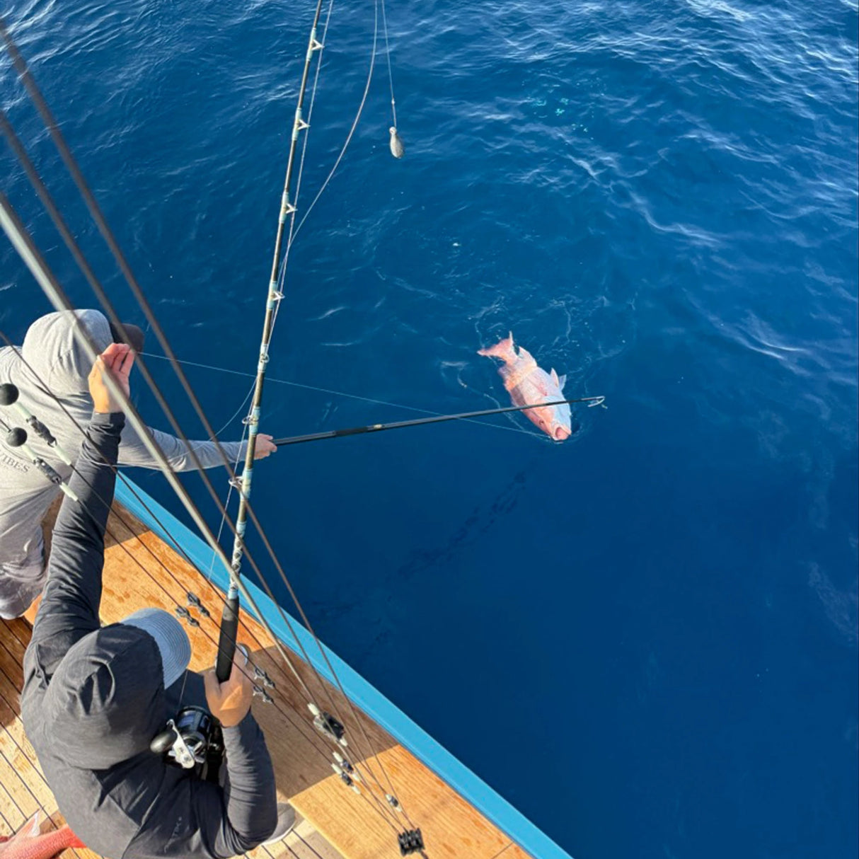 AFTCO Whip Gaff gaffing a fish boatside