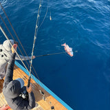 AFTCO Whip Gaff gaffing a fish boatside