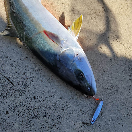 Bozles TG Ieyasu Tungsten Slow Jigs