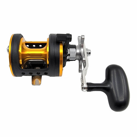 Daiwa Seagate star drag reel back view