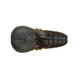 Issei AK Punch Flat 4" soft craw bait in #07 Green Pumpkin