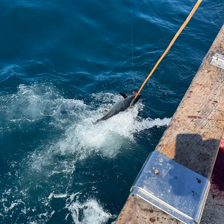 Kamiwaza DecoPop Super Slim 190F Poppers