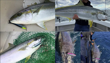 Little Jack Bilhouette 160mm Poppers