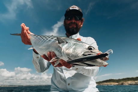 A bonito landed on a Nomad Design Shikari 115 jerkbait