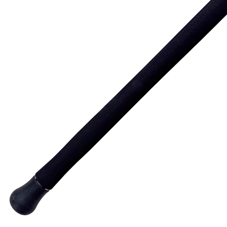 Ripple Fisher Aquila Offshore Spinning Rods