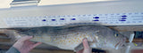 SoCal Fishing Maps - 36" Measuring Tape