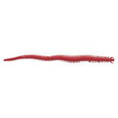 Berkley Gulp Sandworm Lures