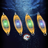 ESCA Fish Attractor Lights