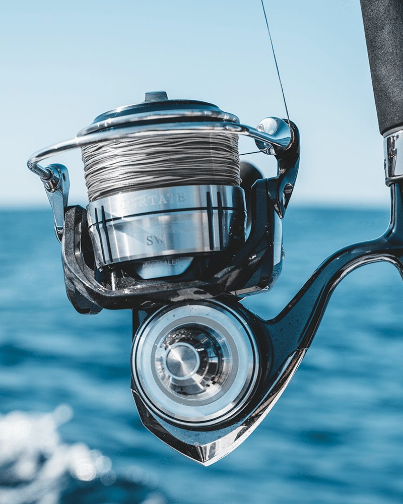 blue daiwa spinning reels Diwa Fishing for Saltwater Freshwater 3000 4000 5000 6000 7000 Spools Ultra Smooth Ultralight Powerful Trout Bass Carp Gear Stainless Ball Bearings Metal Body Ice Fishing Reels(3000) : Sports & Outdoors Introducing the Daiwa Regal LT DAIWA Saltist MQ Spinning Reel