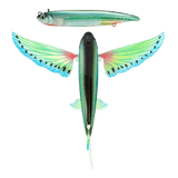 Nomad Design Slipstream Flying Fish Lures