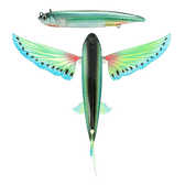 Nomad Design Slipstream Flying Fish Lures