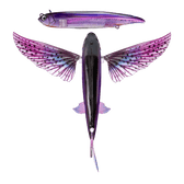 Nomad Design Slipstream Flying Fish Lures