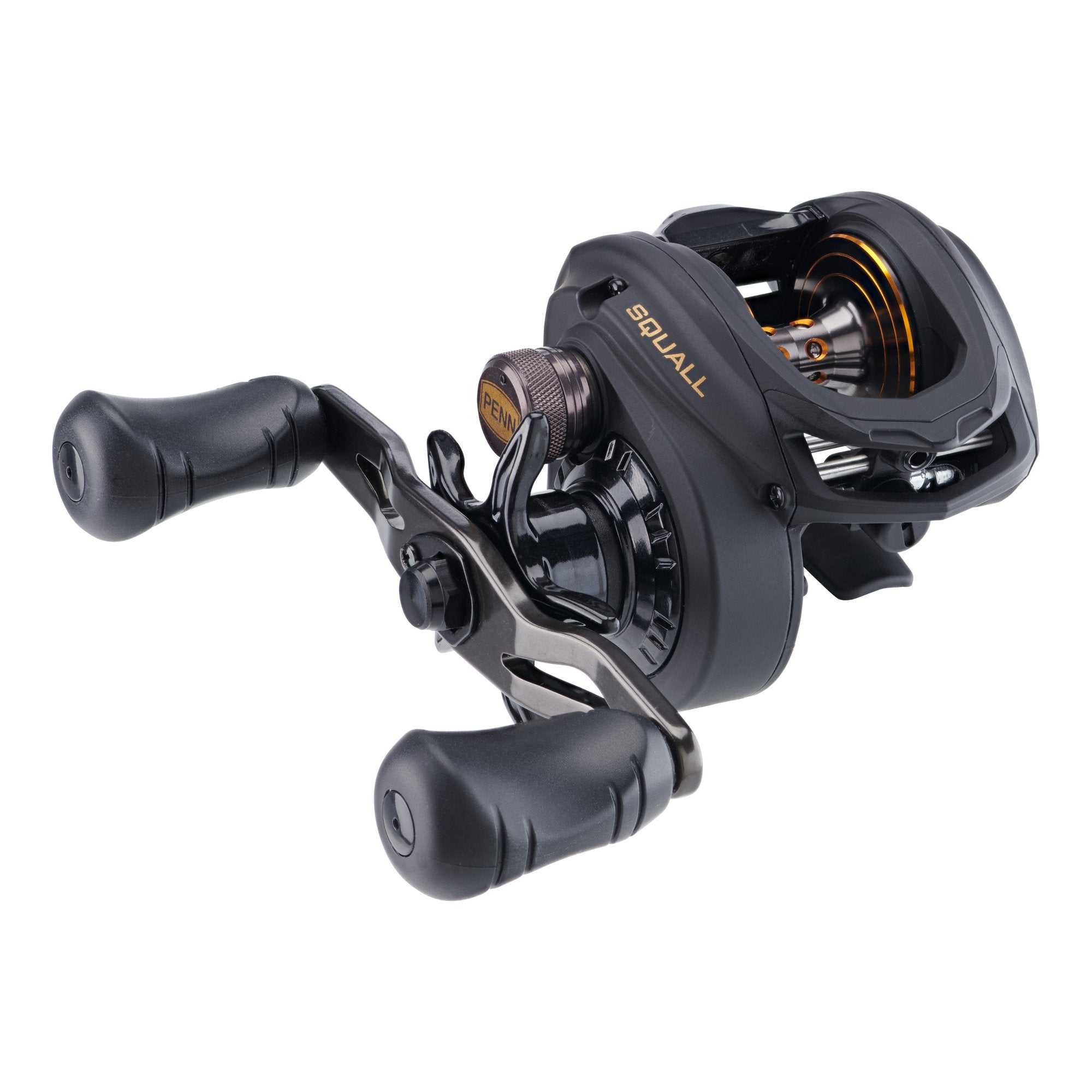 PENN SQUALL 60LD クエ釣りリール Penn Squall Low Profile Reels – CharkBait!