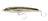 Nomad Design Riptide 105 Fast Sink Lures - Olive Back Shad