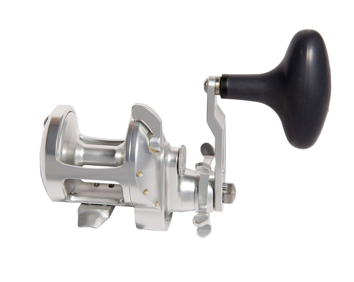 Accurate TXD-400L Tern 2 Star Drag Conventional Reel