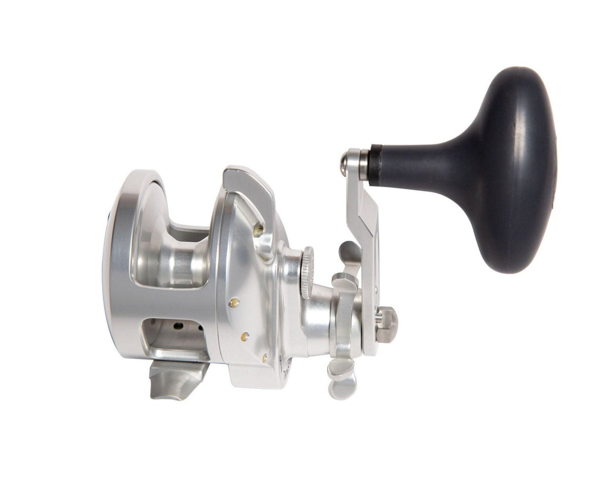 Accurate TXD-500XNL Tern 2 Star Drag Conventional Reel
