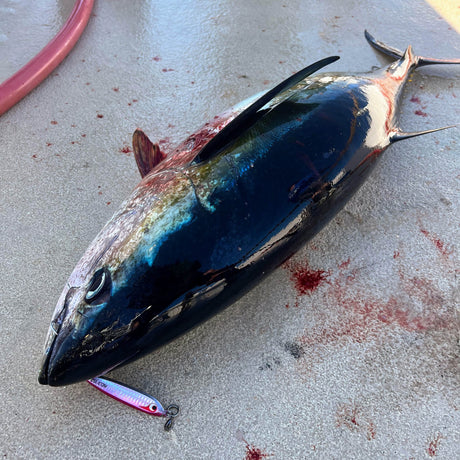 Bozles TG Keiji 150g Tungsten Slow Jigs