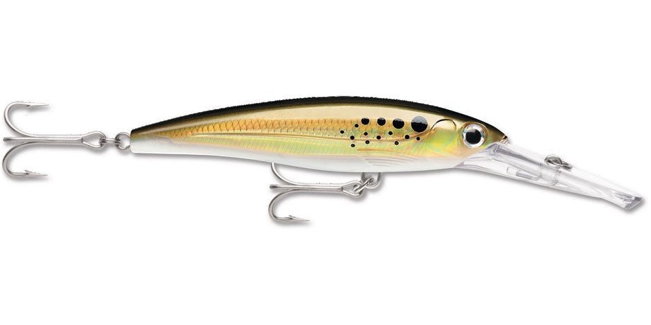 Rapala X-Rap Magnum Bunker; 7 in
